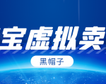 黑帽子淘宝虚拟卖货项目,单店每月收入5000+-赚金金-技能学习分享