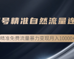 垂直起号精准自然流量连爆玩法,精准引流暴力变现月入10000+-赚金金-技能学习分享