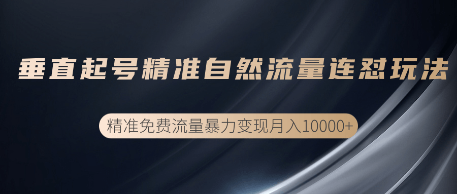 垂直起号精准自然流量连爆玩法，精准引流暴力变现月入10000+-赚金金-技能学习分享