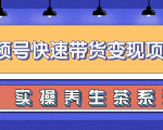 柚子视频号带货实操变现项目,零基础操作养身茶月入10000+-赚金金-技能学习分享