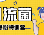 引流菌2020全网爆粉特训营(QQ群霸屏,知乎引流,群裂变,自动化引流等)-赚金金-技能学习分享