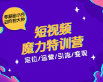 零基础小白进阶到大神《短视频魔力特训营》定位-运营-引流-变现-赚金金-技能学习分享