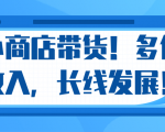 微信小商店带货,爆单多倍收入,长期复利循环!日赚300-800元不等-赚金金-技能学习分享