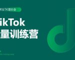 2020最新TikTok流量增长训练营(完结)附PPT-赚金金-技能学习分享