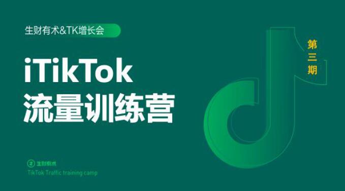 2020最新TikTok流量增长训练营（完结）附PPT-赚金金-技能学习分享