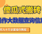 搬砖操作大数据查询信用项目赚钱教程,祝你快速月入6万-赚金金-技能学习分享