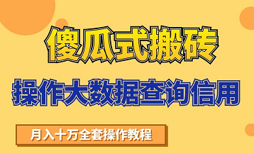 搬砖操作大数据查询信用项目赚钱教程,祝你快速月入6万-赚金金-技能学习分享