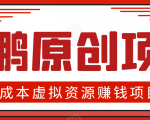 高鹏圈半自动化出单,月入2万零成本虚拟产品项目【附资料】-赚金金-技能学习分享