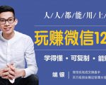 玩赚微信12招:这样玩微信,没钱没人脉也能在家多赚10万-赚金金-技能学习分享