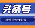 头条号原创视频特训营:一对一带你玩转短视频,新号10天日收益破252元-赚金金-技能学习分享