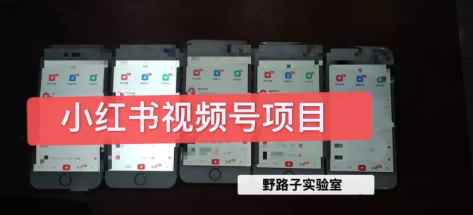 野路子小红书视频号1.0项目，直接上手操作就能赚钱的视频号项目-赚金金-技能学习分享