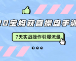 2020宝妈获客操盘手训练营:7天实战操作引爆 母婴、都市、购物宝妈流量-赚金金-技能学习分享