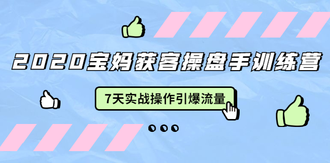 2020宝妈获客操盘手训练营:7天实战操作引爆 母婴、都市、购物宝妈流量-赚金金-技能学习分享