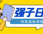 闲鱼高级课程:单号一个月一万左右 有基础的,批量玩的5万-10万都不是难事-赚金金-技能学习分享