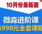 微淼理财进阶课全套视频:助你早点实现财务自由,理论学习+案例分析+实操-赚金金-技能学习分享