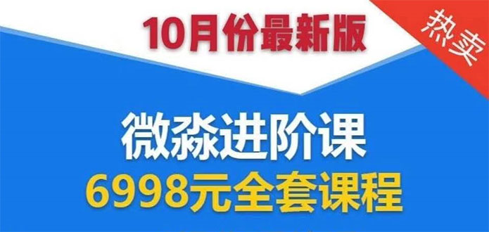 微淼理财进阶课全套视频：助你早点实现财务自由，理论学习+案例分析+实操-赚金金-技能学习分享