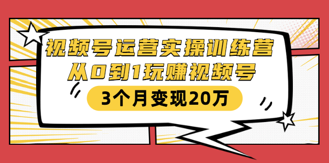 视频号运营实操训练营：从0到1玩赚视频号，3个月变现20万-赚金金-技能学习分享