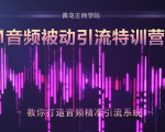 黄岛主·FM音频引流特训营2.0:独家引流模式,单账号50W+播放量,轻松变现-赚金金-技能学习分享