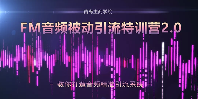 黄岛主·FM音频引流特训营2.0:独家引流模式,单账号50W+播放量,轻松变现-赚金金-技能学习分享