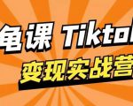龟课·TikTok变现实战训练营线上第1期,多种变现模式,轻松赚美刀-赚金金-技能学习分享