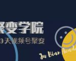 30天视频号成长营:视频号制作筹备+视频剪辑+视频号运营+引流变现-赚金金-技能学习分享