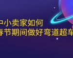 淘宝中小卖家如何利用春节期间做好弯道超车,如何做到月销售额20W+-赚金金-技能学习分享