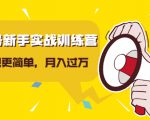 视频号新手实战训练营,让变现更简单,玩赚视频号,轻松月入过万-赚金金-技能学习分享