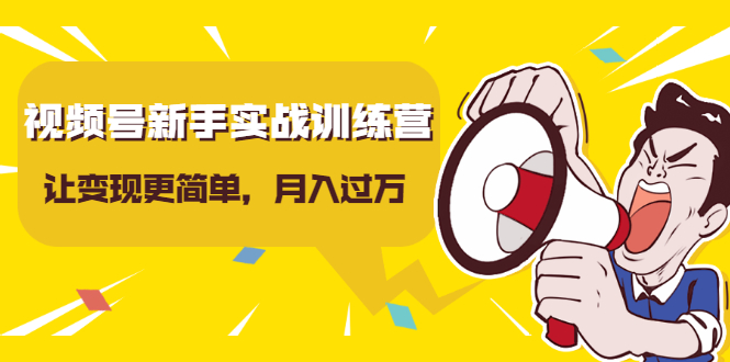视频号新手实战训练营，让变现更简单，玩赚视频号，轻松月入过万-赚金金-技能学习分享