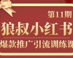 狼叔小红书爆款推广引流训练课第11期,手把手带你玩转小红书-赚金金-技能学习分享