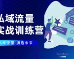 私域流量实战营:7天收获属于您的私域流量池,给你总结出可复制的套路-赚金金-技能学习分享