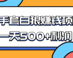 某团队收费项目:空手套白狼,一天500+利润,人人可做-赚金金-技能学习分享