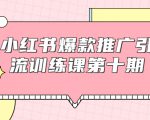 小红书爆款推广引流训练课第十期,手把手带你玩转小红书,轻松月入过万-赚金金-技能学习分享