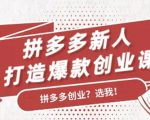 拼多多新人打造爆款创业课：快速引流持续出单，适用于所有新人-赚金金-技能学习分享