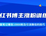 小红书博主涨粉训练营:一篇笔记爆涨10000粉及引流微信的技巧-赚金金-技能学习分享