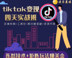 tiktok变现四天实战班,连怼技术+矩阵玩法赚美金!价值998元-赚金金-技能学习分享