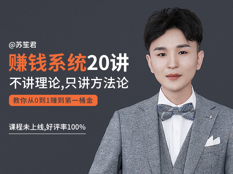 苏笙君的赚钱系统20课 教你从0到1赚到你的第一桶金（不讲理论，只讲方法论）-赚金金-技能学习分享