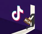 抖音MCN孵化课程,帮助商家拓客,帮助达人更好变现的课程,从0基础到超级IP-赚金金-技能学习分享