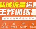 私域流量运营王炸训练营:全网引流+裂变涨粉+私域运营+高效成交-赚金金-技能学习分享