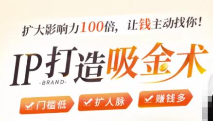 IP打造吸金术:0基础0资源,也能扩大影响力100倍,让钱主动找你!-赚金金-技能学习分享
