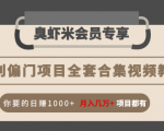 暴利偏门项目全套合集视频教程:你要的日赚1000+月入几万+项目都有-赚金金-技能学习分享