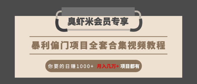 暴利偏门项目全套合集视频教程：你要的日赚1000+月入几万+项目都有-赚金金-技能学习分享