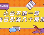 清和行记引流训练营:小白不到一周便能日引流几十精准粉-赚金金-技能学习分享
