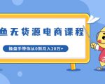 龟课·闲鱼无货源电商课程第20期:闲鱼项目操盘手带你从0到月入20万+-赚金金-技能学习分享