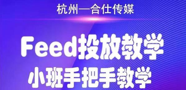 合仕传媒Feed投放教学，手把手教学，开车烧钱必须自己会-赚金金-技能学习分享