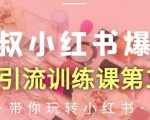 狼叔小红书爆款推广引流训练课第12期,手把手带你玩转小红书-赚金金-技能学习分享