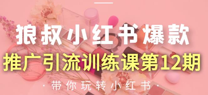 狼叔小红书爆款推广引流训练课第12期，手把手带你玩转小红书-赚金金-技能学习分享