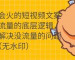 只说话就会火的短视频文案课，从根本上解决没流量的问题-赚金金-技能学习分享