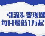 引流&变现课:分享一整套流量方法以及各个渠道收入,每月最低1万起!-赚金金-技能学习分享