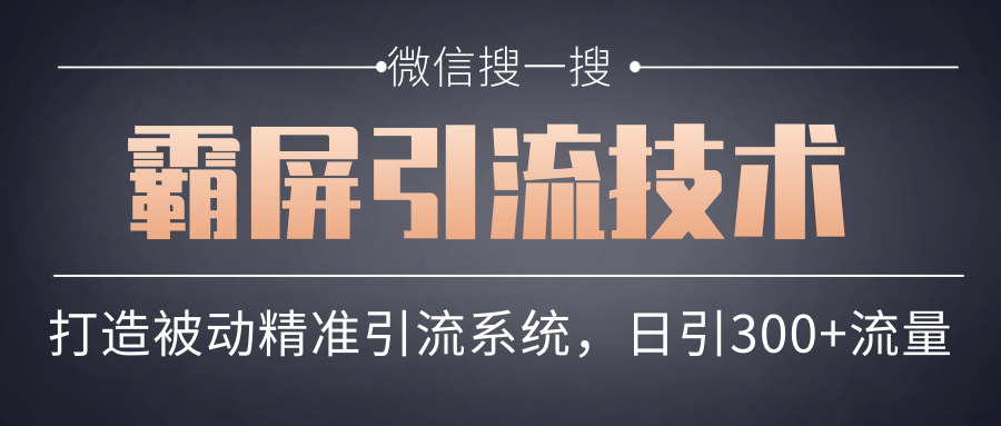 微信搜一搜霸屏引流技术,打造被动精准引流系统,轻松日引300+流量-赚金金-技能学习分享