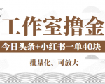 工作室撸金二件套：撸今日头条原创收益+小红书一单利润40块项目-赚金金-技能学习分享